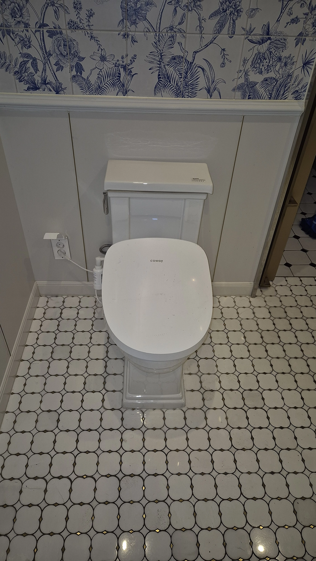 스케일링 후 변기 안착