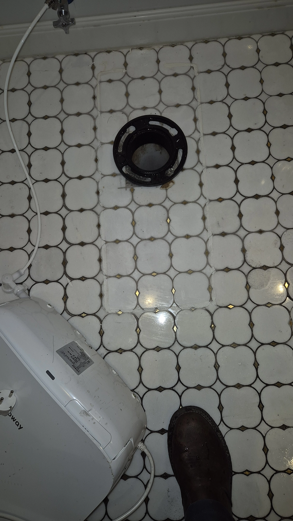 스케일링 후 변기 안착